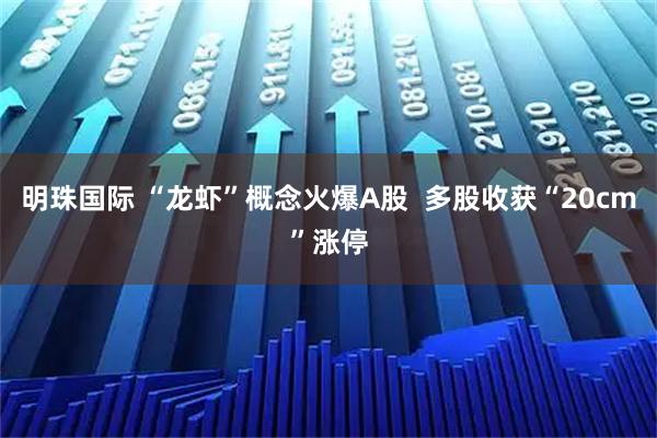 明珠国际 “龙虾”概念火爆A股  多股收获“20cm”涨停